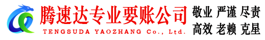 舒城腾速达清债公司